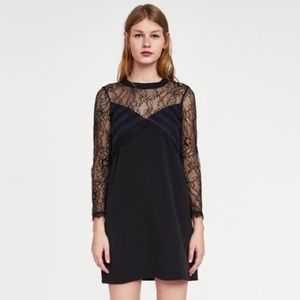 Zara Black Navy Contrast Lace Dress